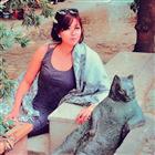 日月日 sun moon sun