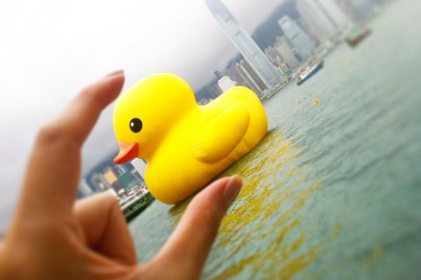 rubber duck_抓