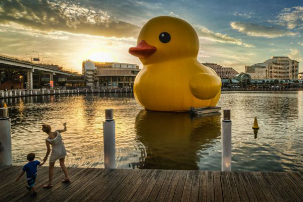 rubber duck_對比照