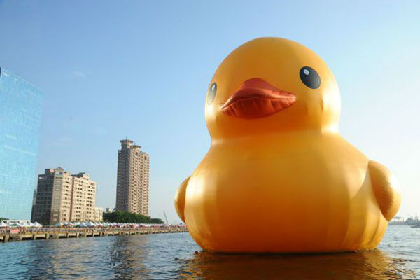 rubber duck_正面照