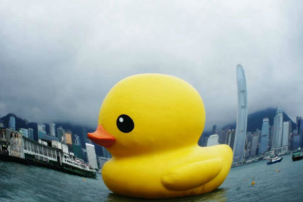 rubber duck_FISHEYE2