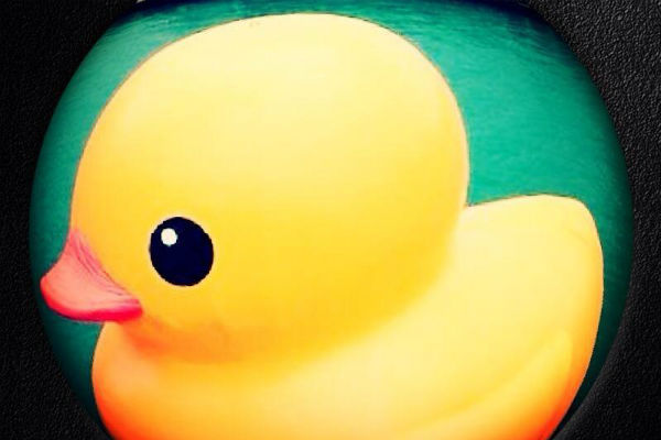 RUBBER DUCK_FISHEYES1