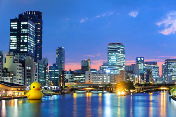 rubber duck_全景照