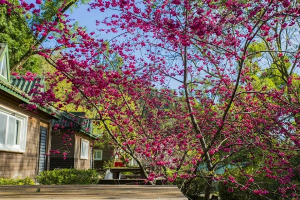 宜蘭馬告生態公園(力麗馬告生態園區FB).jpeg