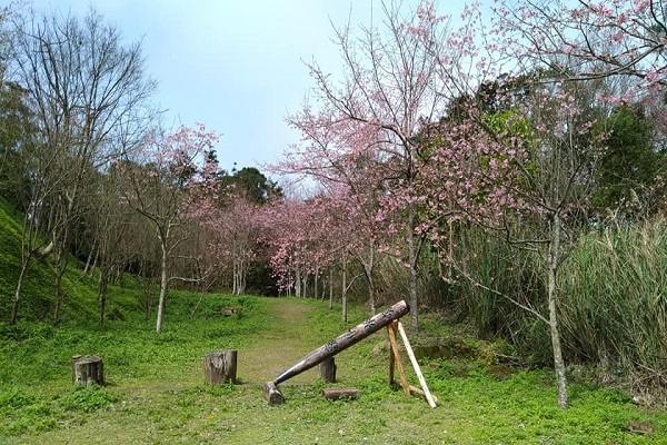 馬武督探索森林.jpg
