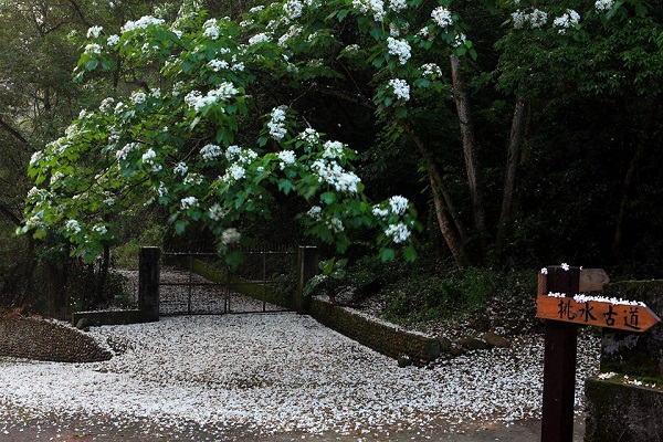 挑水古道-2.jpg