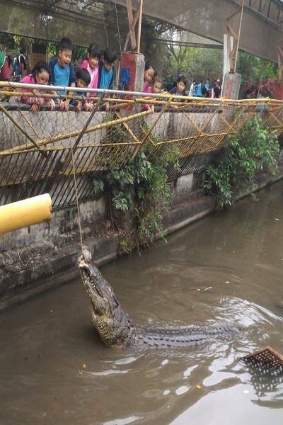 不一樣鱷魚生態農場-1.jpg