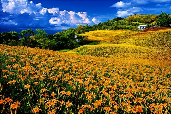 赤柯山(花東縱谷國家風景區).jpg