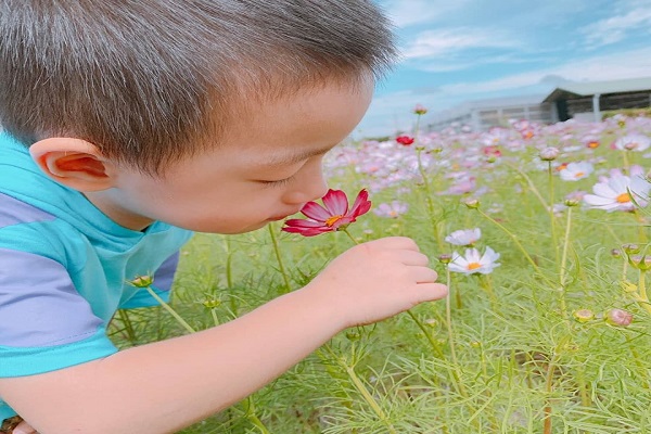 青松花卉農場.jpg