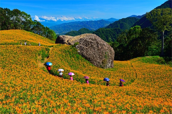 赤柯山(花東縱谷國家風景區)-千噸石龜.jpg