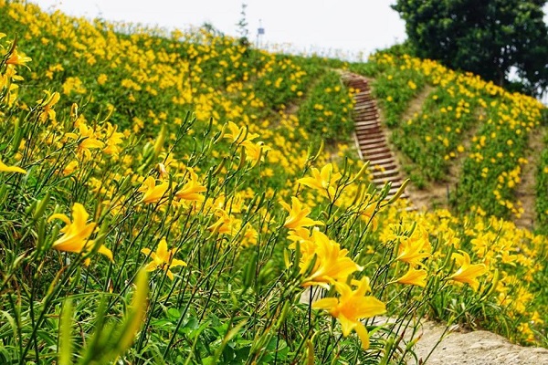 花壇虎山巖.jpg
