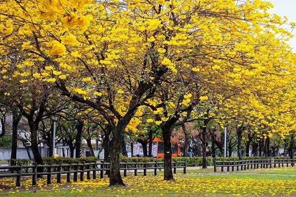 部子公園(台中市政府)-1.jpg