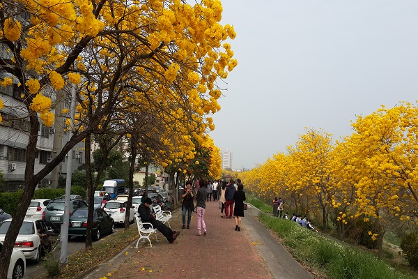 軍輝橋(第五河川局).jpg