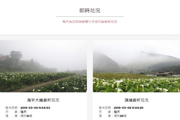 即時花況.JPG