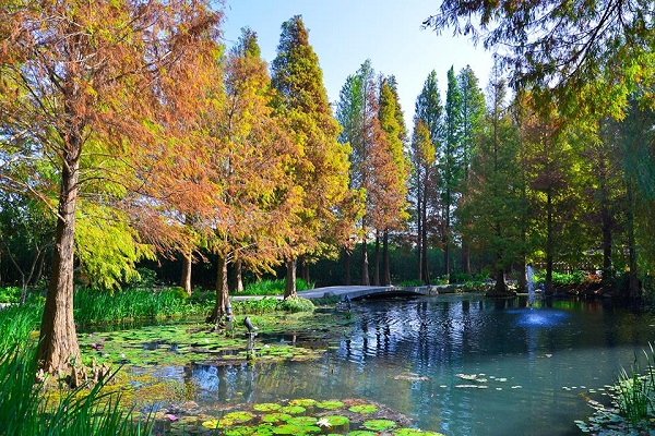 菁芳園-1.jpg