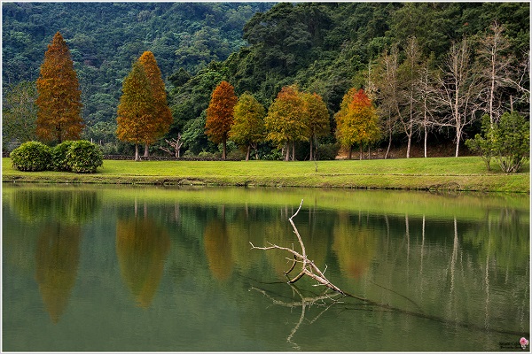 員山蜊埤湖-2.jpg