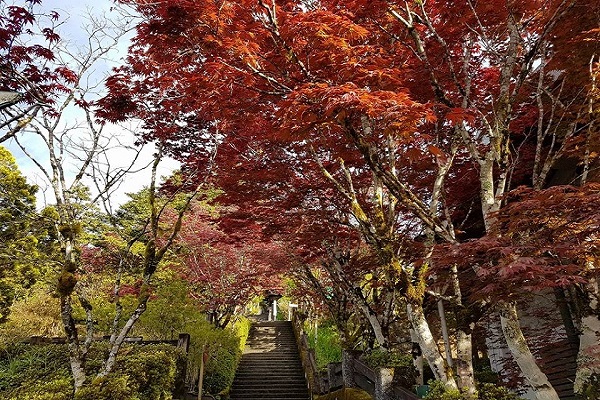 太平山-1.jpg