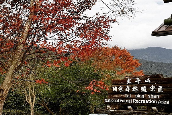 太平山-2.jpg