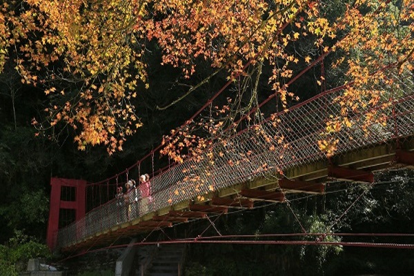 杉林溪-1.jpg