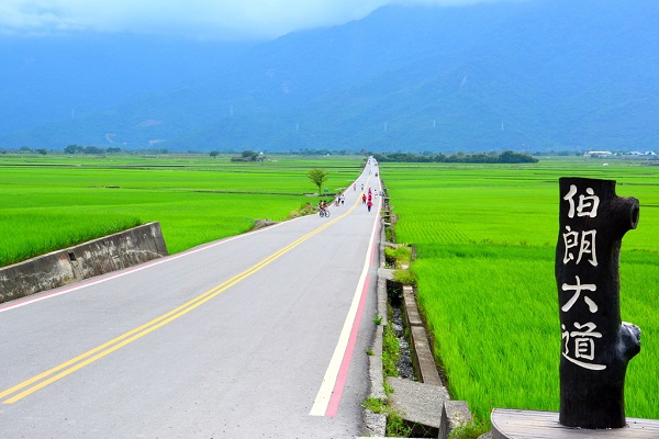 伯朗大道-台東觀光旅遊網.jpg