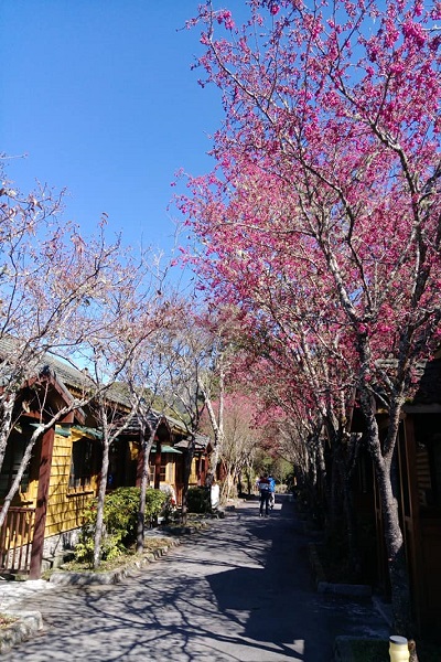 大雪山-1.jpg
