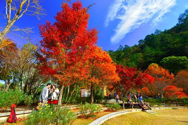武陵農場-2(國民賓館.jpg