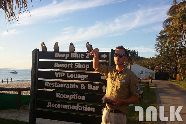 Moreton Island-10.jpg