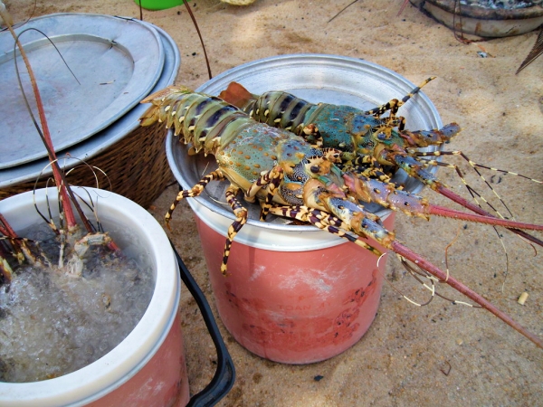vietnam_08.jpg