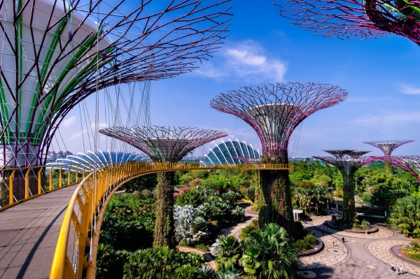 purpleflower_24.jpg