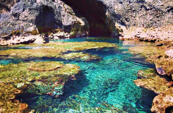 greenisland_06.jpeg