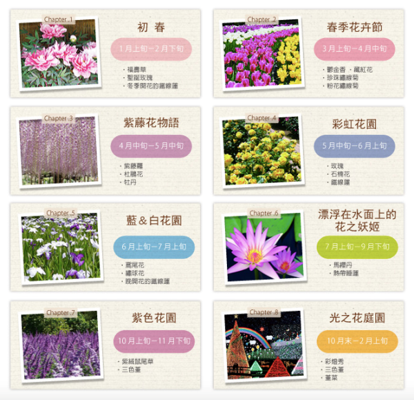 purpleflower_3.png