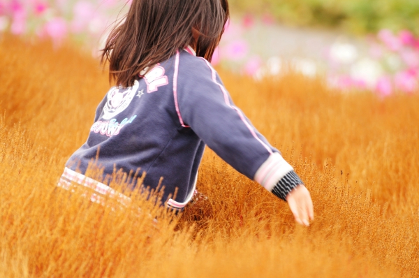 purpleflower_6.jpg