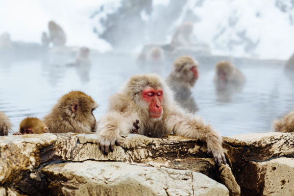 TW-JP HotSpring_13.jpg