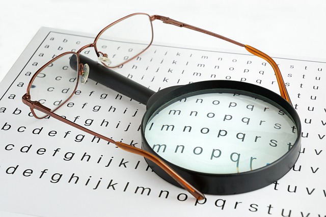 eyesight-g368b2bcee_640.jpg