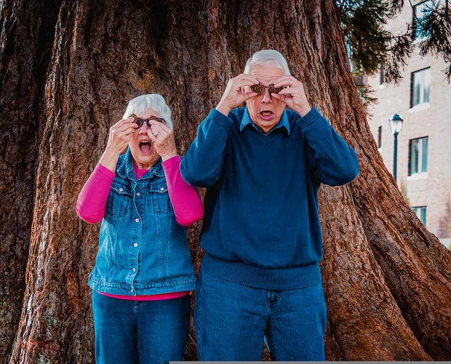 older-couple-gaa52fd872_640.jpg