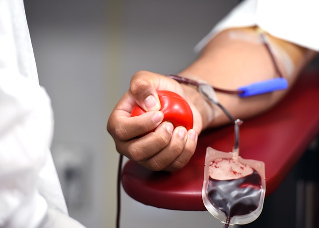 blood-ga0286a41e_640.jpg