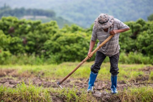 male-farmer.jpg