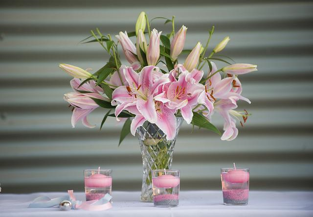 lillies-g0638253c4_640.jpg