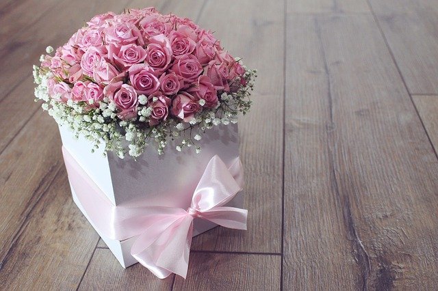 flower-g30b120a40_640.jpg