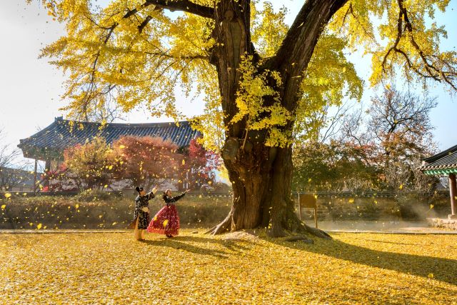 觀光重點城市 全州鄉校.jpg