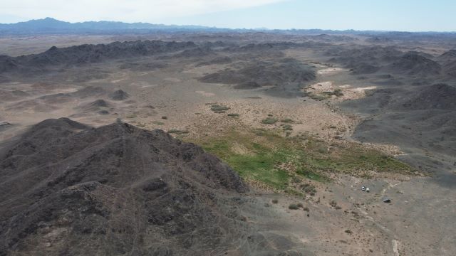 戈壁熊生活棲地因近年氣候變遷，戈壁區年降雨量從100mm降至50mm.jpg