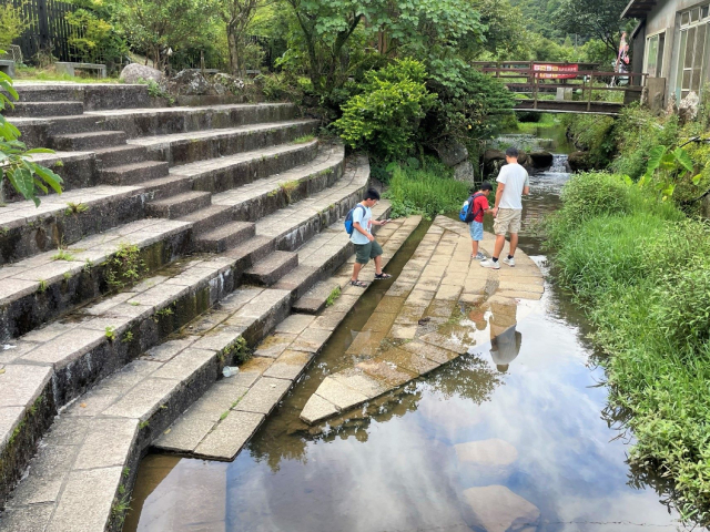 海芋環狀步道近水平台 (1).jpg