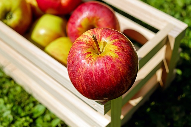 蘋果中的果膠能預防體內糖分和脂肪的吸收，並吸附腸內的有害物質，一同排出體外.jpg