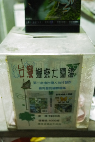 新店牛伯伯蝴蝶園5