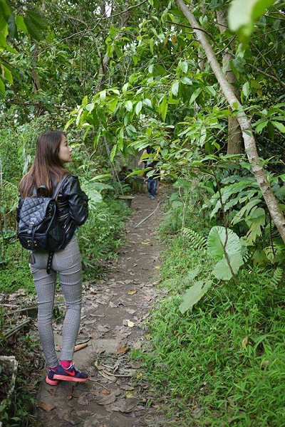 新店牛伯伯蝴蝶園6