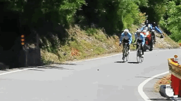 TTF-009.gif