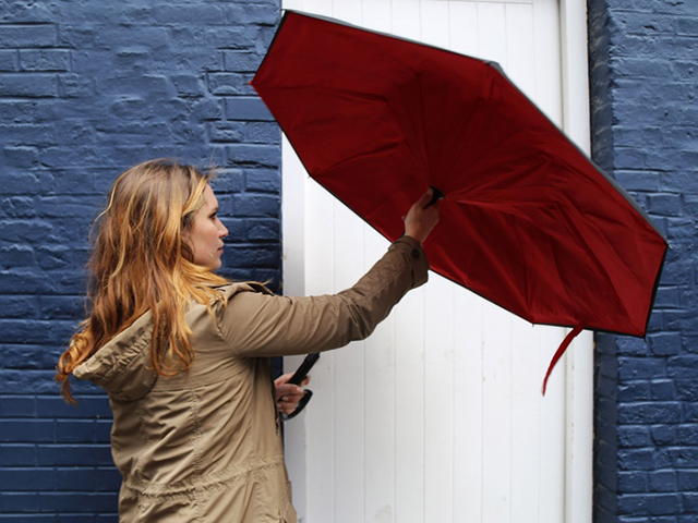 KAZbrella 3.jpg