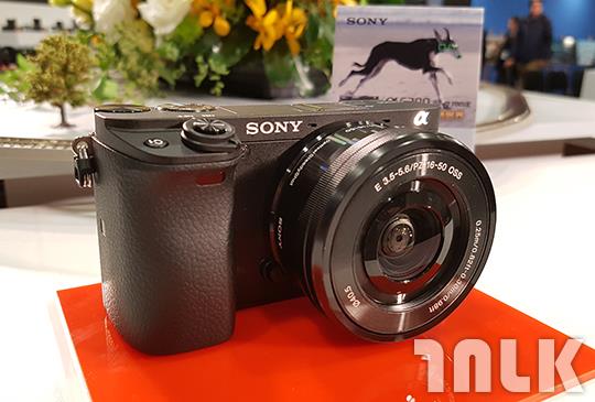 Sony 1.jpg