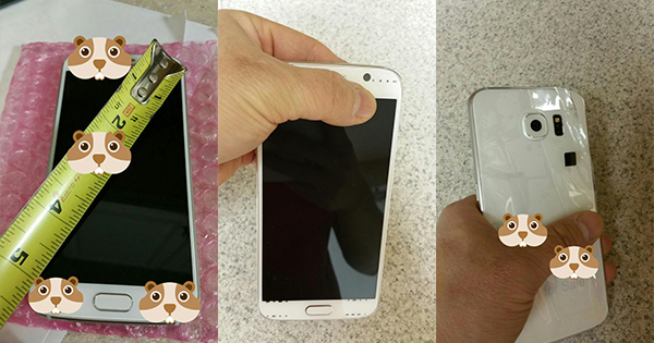 Samsung GALAXY S6 1.jpg