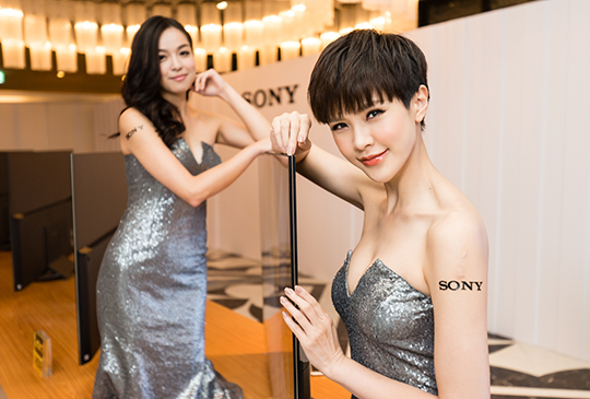 Sony BRAVIA 2016 3.jpg